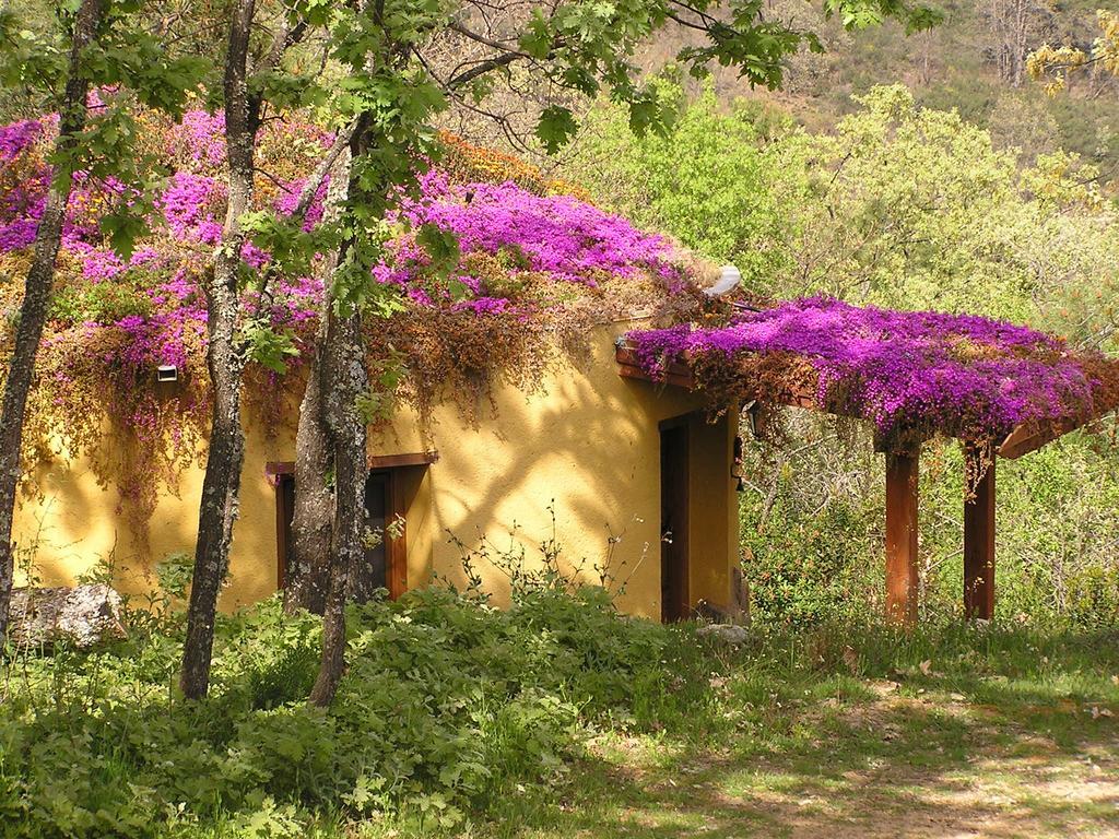 Apartamentos Rurales Ecopangea Valverde de la Vera Room photo